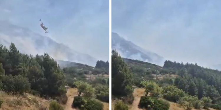 VIDEO Kanaderi stigli, pogledajte situaciji u Medićima