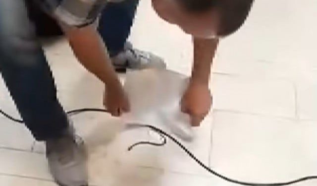 VIDEO Pogledajte kako zaposlenik hvata zmiju i iznosi je iz zgrade Parlamenta FBiH