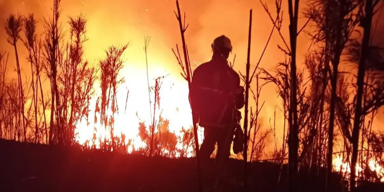 Vatrogasci Malog Lošinja proslavili rođendan