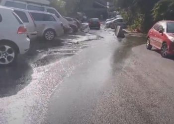 Voda teče niz ulicu kraj Konzuma Pod dubom, iz Vodovoda objasnili u čemu je problem (VIDEO)