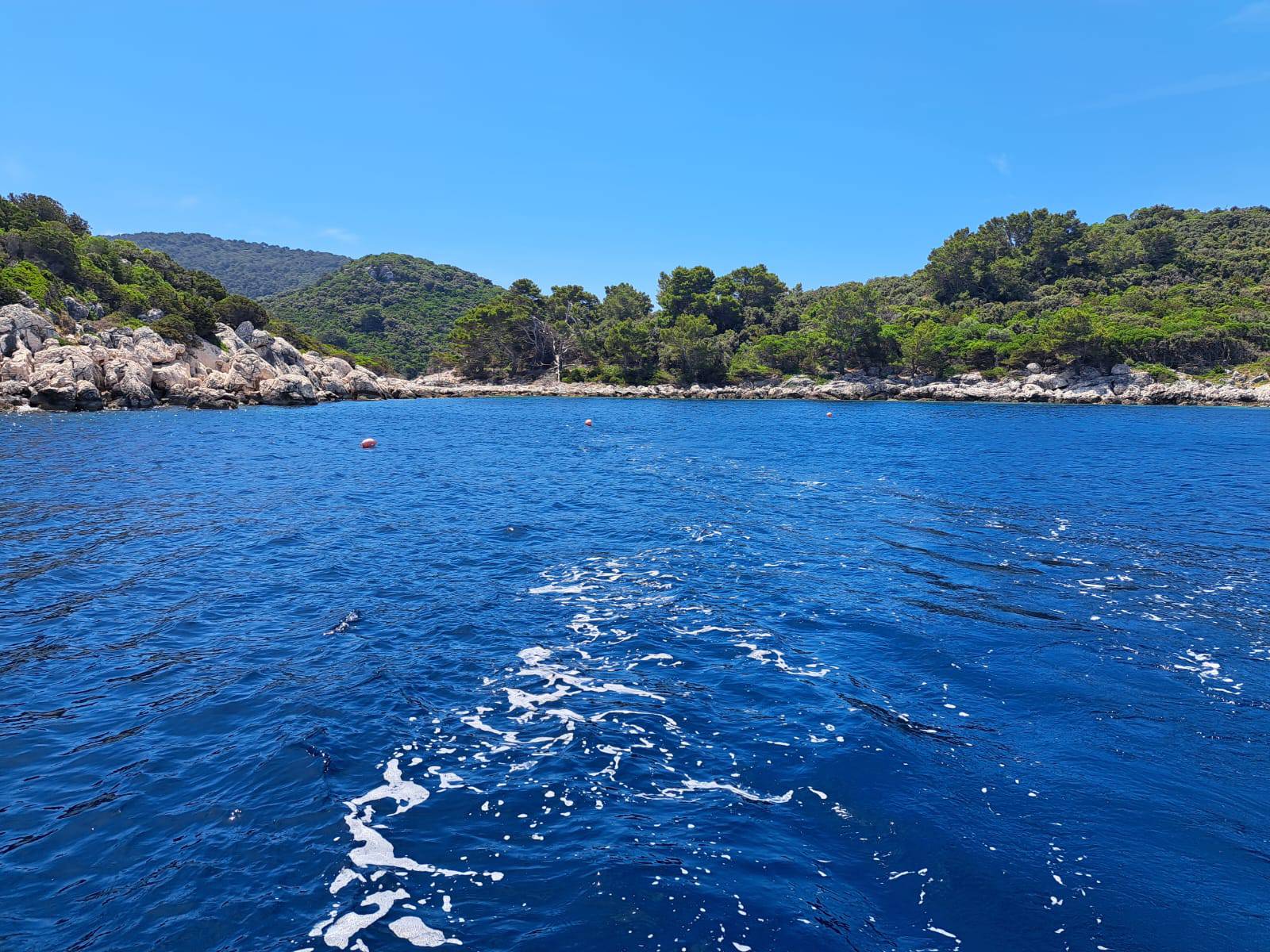 LASTOVO Postavljeni kolektori na 7 lokacija gdje su nekad bila bogata staništa plemenite periske: "Velika im je prijetnja nasipavanje obale!"