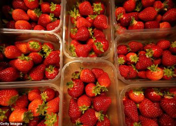 Wimbledon Povećajte cijenu ikoničnih jagoda i vrhnja prvi put nakon 15 godina – jer organizatori krive troškove života za planinarenje