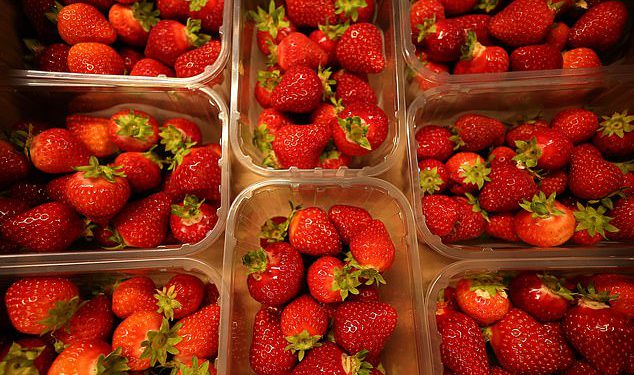 Wimbledon Povećajte cijenu ikoničnih jagoda i vrhnja prvi put nakon 15 godina – jer organizatori krive troškove života za planinarenje