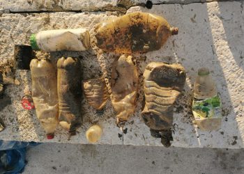 ZNASTVENICI INSTITUTA RUĐER BOŠKOVIĆ: “Godišnje više od 11 milijuna tona plastike dospijeva u vodene ekosustave