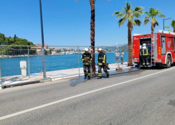 Zapalila se palma u Gružu, vatrogasci je brzo ugasili (FOTO)
