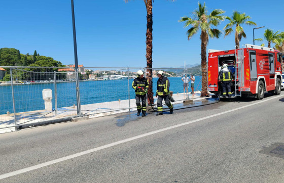 Zapalila se palma u Gružu, vatrogasci je brzo ugasili (FOTO)