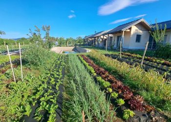 Završna radionica o društvenom poduzetništvu na mikrofarmi Mrvica: Spoj održive prakse i edukacije u prirodi