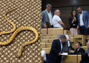 Zbog zmije u Parlamentu zatražena istraga, stigao i odgovor Rami Isaku