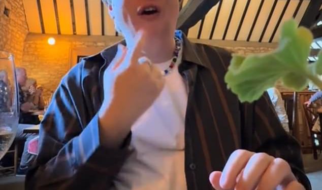 Zvijezda Big Brother i kritičar hrane Henry Southan Savages Jeremy Clarkson’s Farmer’s Dog Pub dok stenja oko £ 26 ‘suha’ pečena govedina, a parkiralište prelijevanja je ‘predaleko’