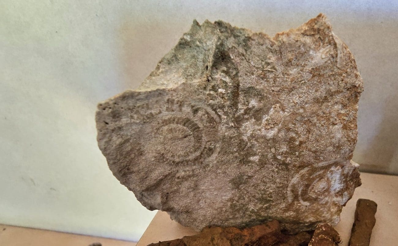 arheoloski materijal  1