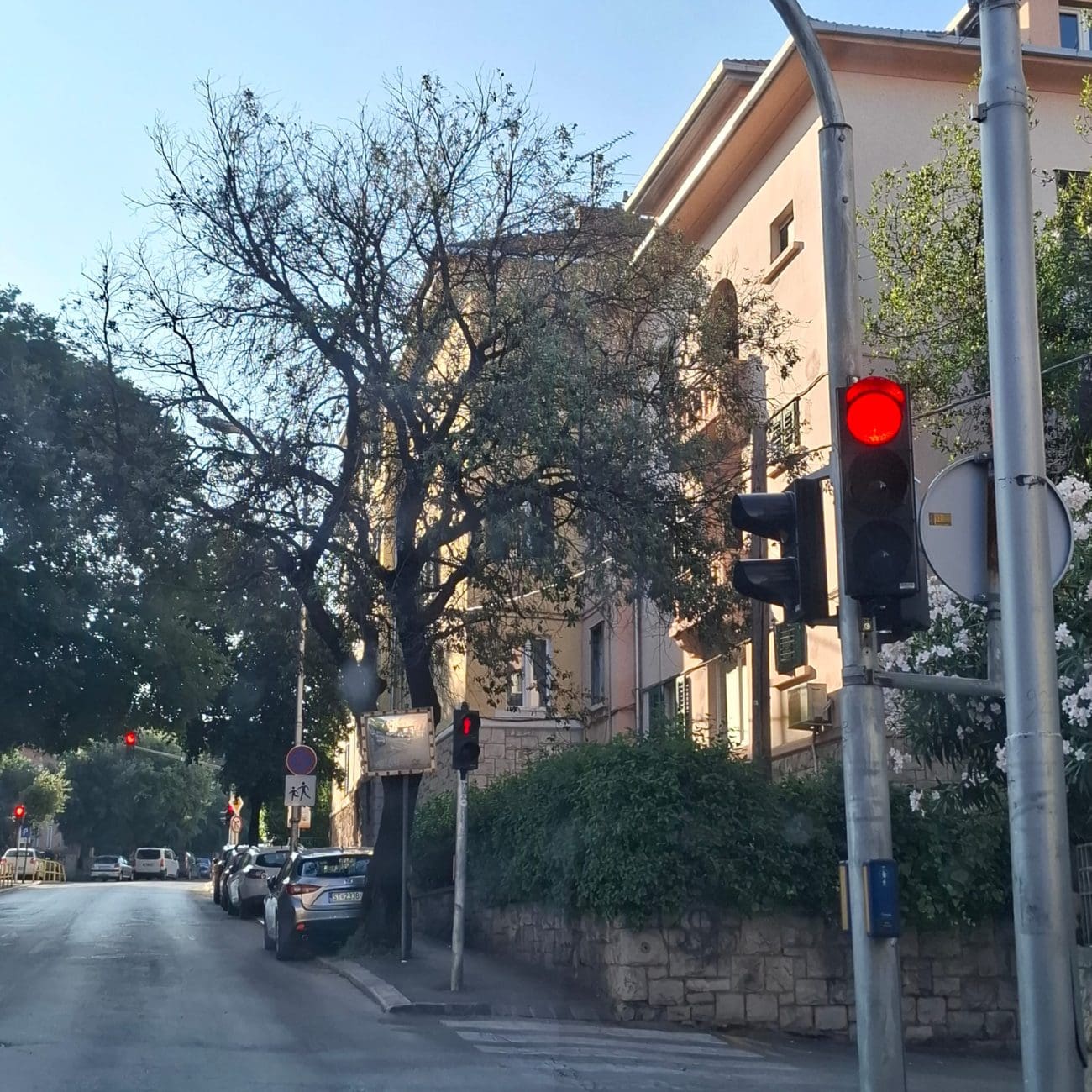 cesmina vukovarska  1