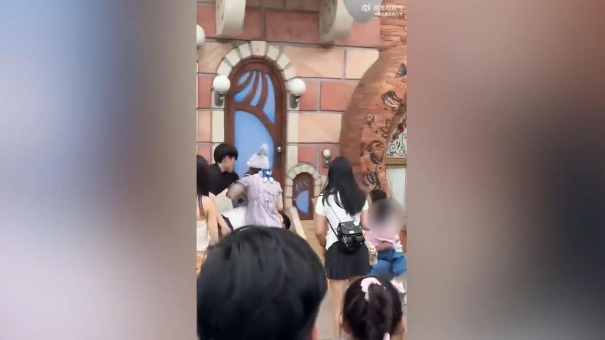 Disneyland Kina borba