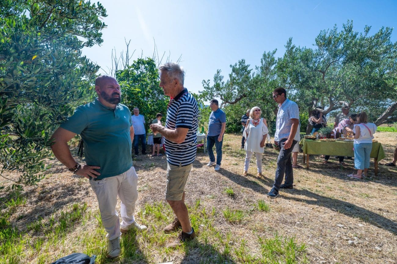 najstarija maslina libovac darija belamaric mihanovic  1