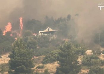 VIDEO Stalno izbijaju novi požari! Ljudi kantama gase vatru: "Neki su doslovno bježali u more!"