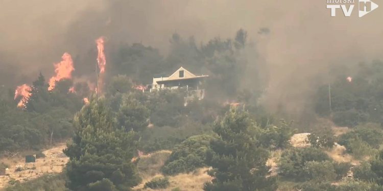 VIDEO Stalno izbijaju novi požari! Ljudi kantama gase vatru: "Neki su doslovno bježali u more!"