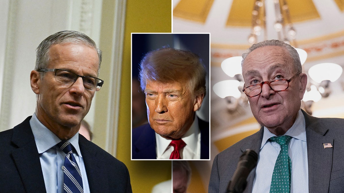 John Thune, Donald Trump, Chuck Schumer u Photo Splitu