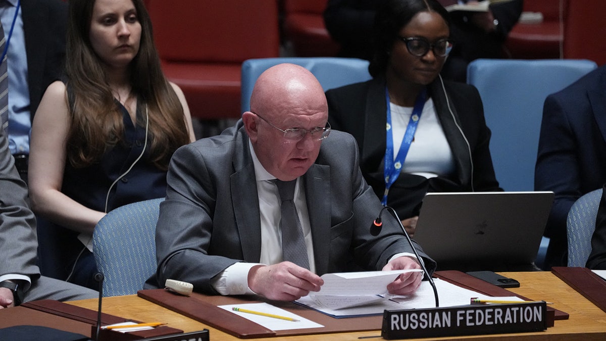 Ruski veleposlanik Tessily Nebenzia govori u UN -u
