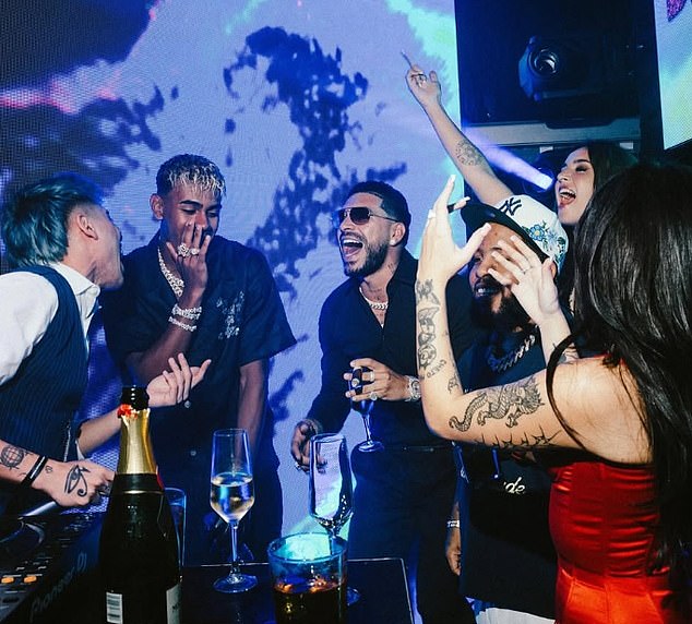 Raskošni i kontroverzni bash sada bi mogao biti predmet vladine sonde