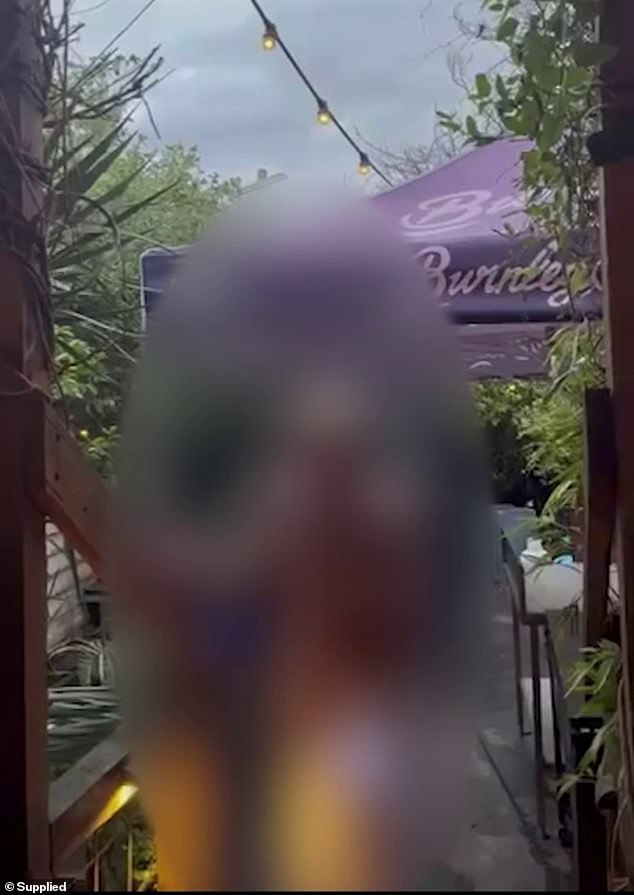 Žena koja se pojavljuje u snimcima vinskih bara malo prije nego što je Carey također raznijela ljude iza videa na društvenim mrežama, napisavši: 'Sram vas, žene, bolja smo od toga'
