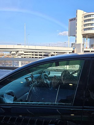 Aso je na aerodromu spustila suigrač Matildas, Lydia Williams