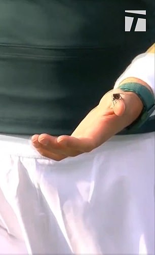 Sakkari je pažljivo odveo bubu na stražnji dio terena