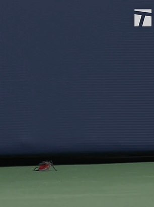 Kug je ukratko prikazao kamere