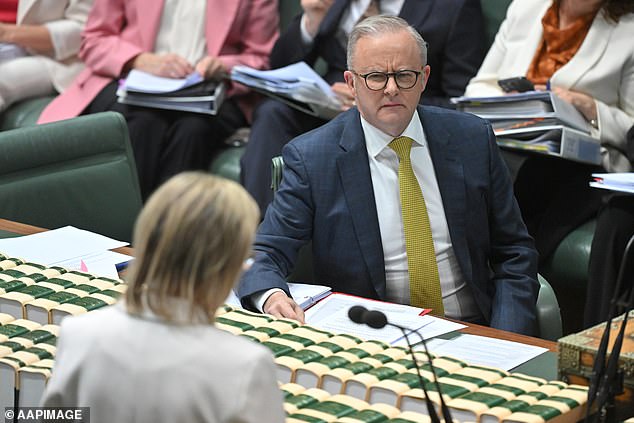 Na slici: Anthony Albanese reagira dok se Ley u srijedu obraća Zastupničkom domu