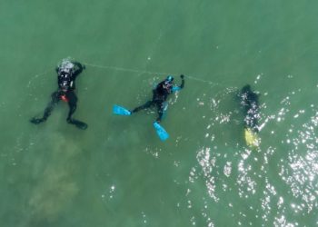 Istra se bori protiv morskog otpada i mikroplastike: "Djelujmo na vrijeme i smanjimo negativne posljedice!"