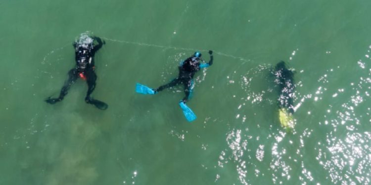 Istra se bori protiv morskog otpada i mikroplastike: "Djelujmo na vrijeme i smanjimo negativne posljedice!"