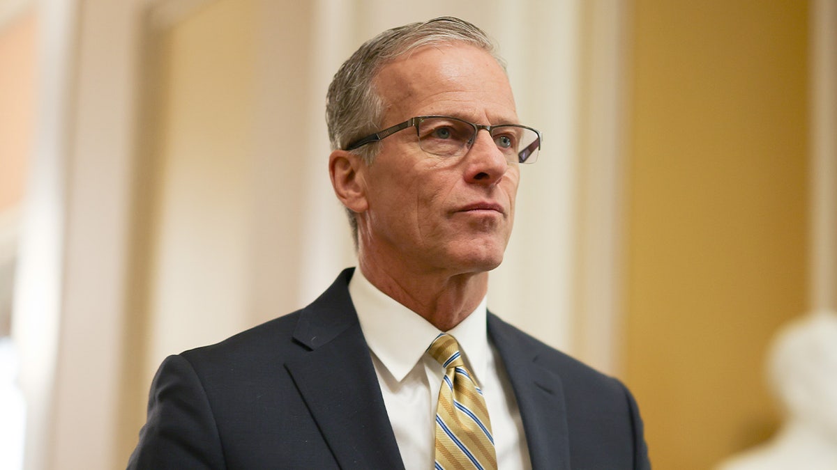 Vođa većine Senata John Thune hoda na glasovanje u Washingtonu, DC