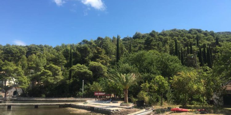 GOVNA U STONU Želite li sebi dobro, ne kupajte se ovdje!