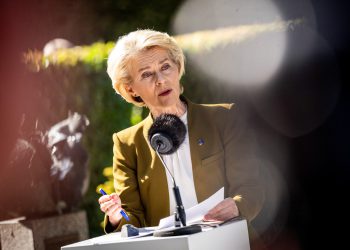 Anjinho: ‘Pojednostavljenja zakona nisu problem, već način na koji se ona provode’