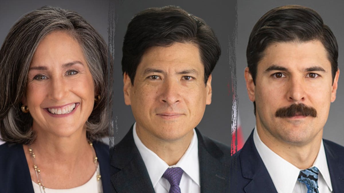Članovi odbora CPSC-a Mary Boyle, Alexander Hoehn-Saric i Richard Trumka Jr. viđeni su u ovoj trosmjernoj splitskoj slici. Fotografije putem AP News/Getty Images
