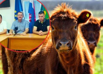 ALARMANTNO STANJE! Zastupnik Ledenko i načelnik Sučić: Stojeći pred potpunim kolapsom stočarstva, zahtijevamo žurnu reakciju institucija