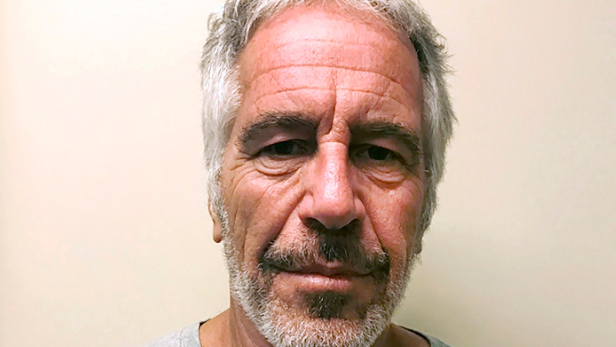 Epstein Mugshot