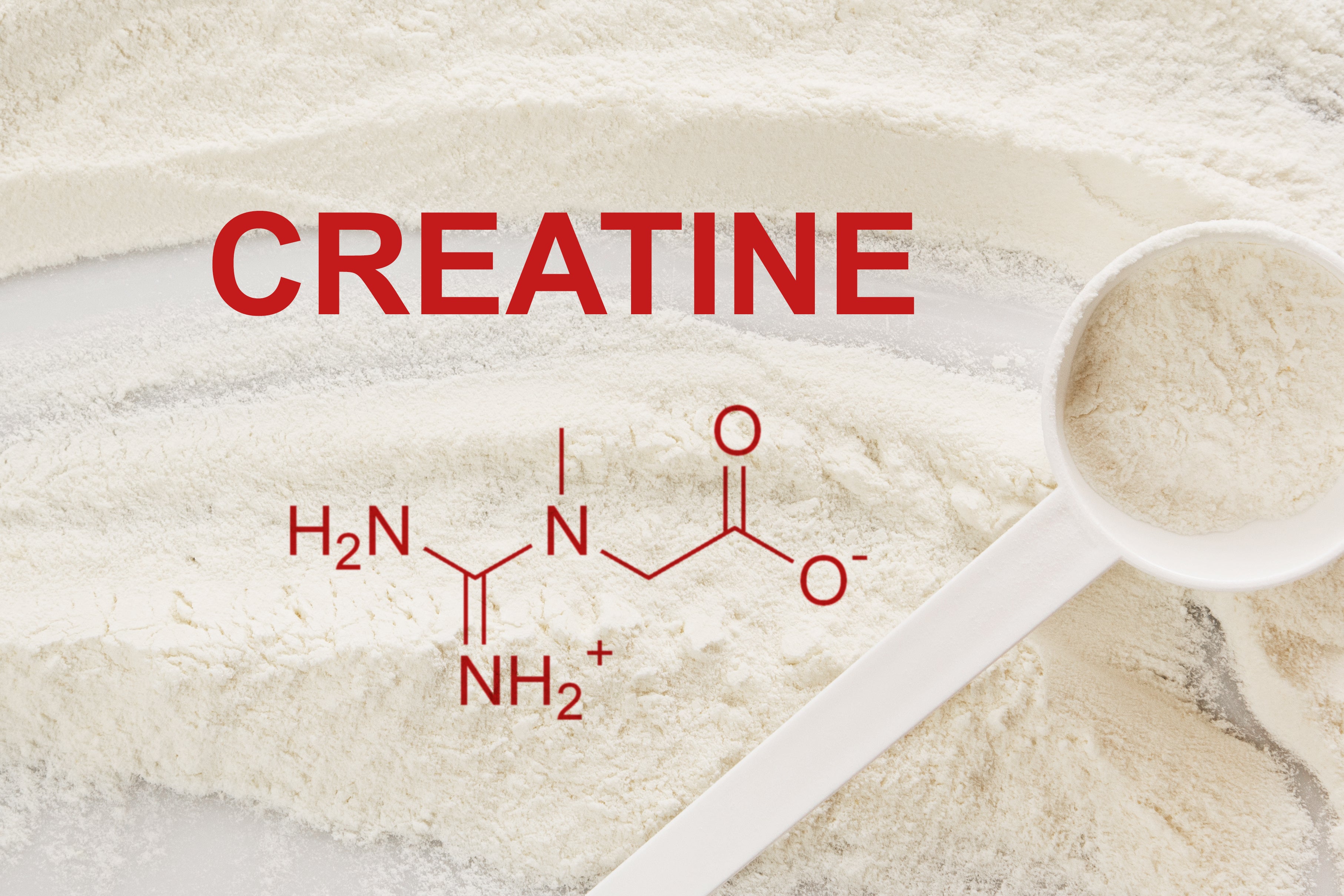 Kreatin