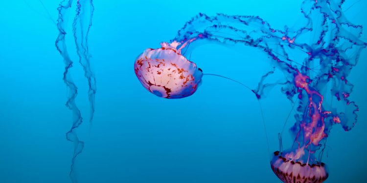 Bezbrižan izlet na popularnu plažu kod Šibenika pretvorio se u dramu: "Dijete završilo s opeklinama!"