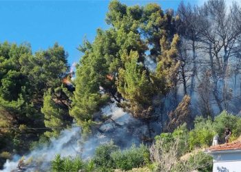 Bilo je pitanje sekundi: Vatra stigla do kuća, ali su vatrogasci heroji spriječili katastrofu!