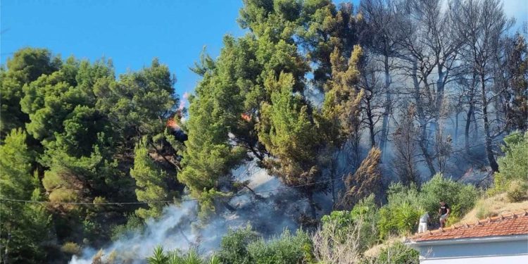 Bilo je pitanje sekundi: Vatra stigla do kuća, ali su vatrogasci heroji spriječili katastrofu!
