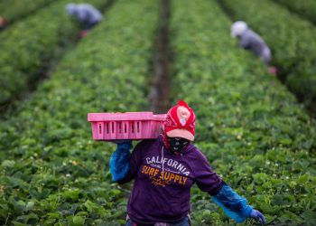 Bipartisanski prijedlog zakona dao bi pravni status određenim ilegalnim imigrantskim radnicima