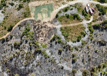 Brzom intervencijom vatrogasaca i zračnih snaga lokaliziran požar u Radišićima kod Ljubuškog
