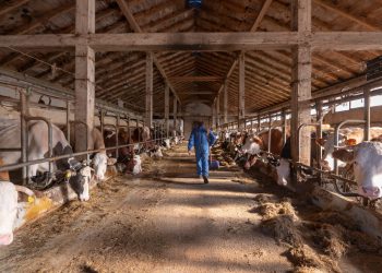Cijene hrane najviše u posljednje tri godine, uz godišnji rast od šest posto