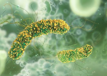 Deseci gotovih obroka povučeni su s polica u Irskoj nakon što odrasli umire od listerioze