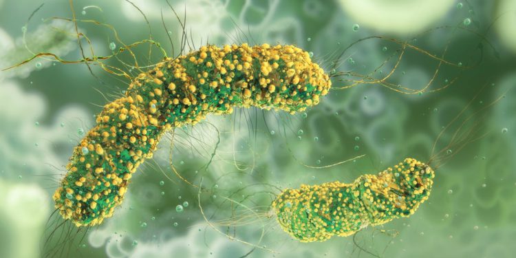 Deseci gotovih obroka povučeni su s polica u Irskoj nakon što odrasli umire od listerioze