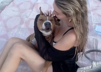 Djevojka Liama ​​Paynea Kate Cassidy sjeća se trenutka, a pokojna pjevačica usvojila je svog psa Nala dok dijeli slatki isječak