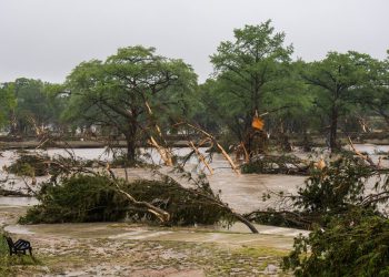 Djevojka ‘živi svoj najbolji život’ u kampu i muškarcu koji je spasio svoju obitelj. Sve što znamo o žrtvama poplave u Teksasu