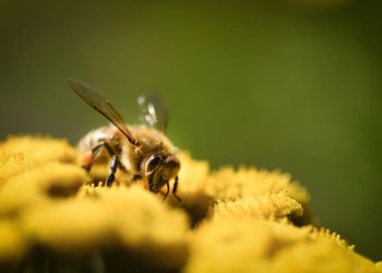 Dom zdravlja me odbio, spasila me Hitna!