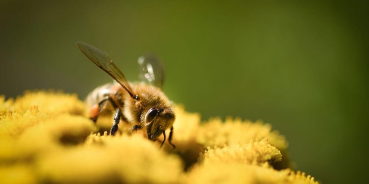 Dom zdravlja me odbio, spasila me Hitna!