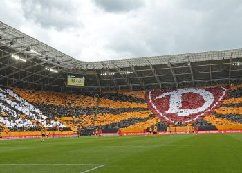 Dynamo Dresden ima problem s … galebovima!