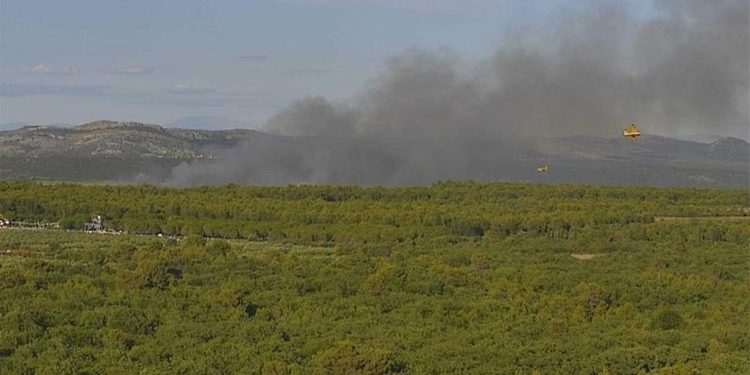 Evakuirano 20-ak ljudi zbog požara u Dalmaciji